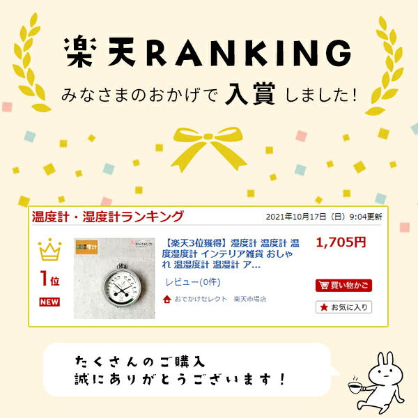【クーポン有24日20時】【楽天1位獲得】DULTONダルトン送料無料湿度計温度計温度湿度計インテリアおしゃれ温湿度計温湿計アナログマグネット置き掛けナチュラル小型コンパクトミニインテリアレトロプレゼントサーモハイグロメーター