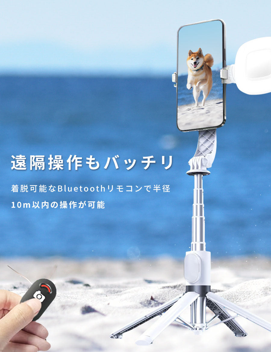タッチペン