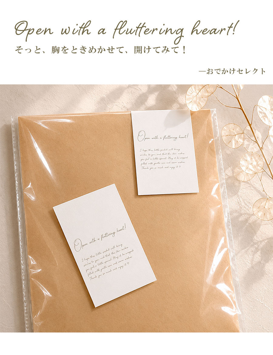 プレゼント包装プチSETミニギフトラッピング用ギフトラッピングwrapping誕生日袋クリスマスギフトおしゃれラッピング用品ギフト用オプション紙袋かわいい小リボンシール紐細い有料