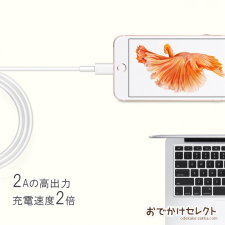 iPhone 急速充電器 ケーブル セット 1m 高速充電 ライトニング USBケーブル 1本
